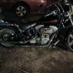 2004 Harley-Davidson SOFTAIL 