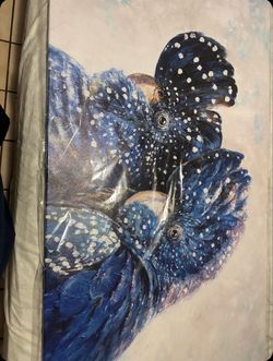 Oversized Blue Bird Canvas