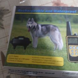 Dog Collar