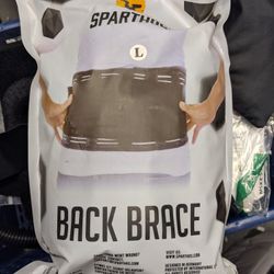 Back Brace (Large)
