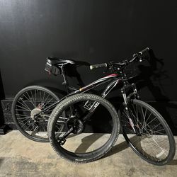 Specialized mountain bike