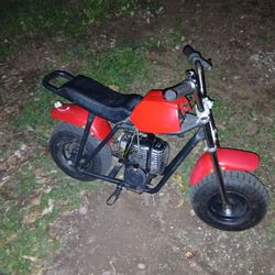 Mini Bike