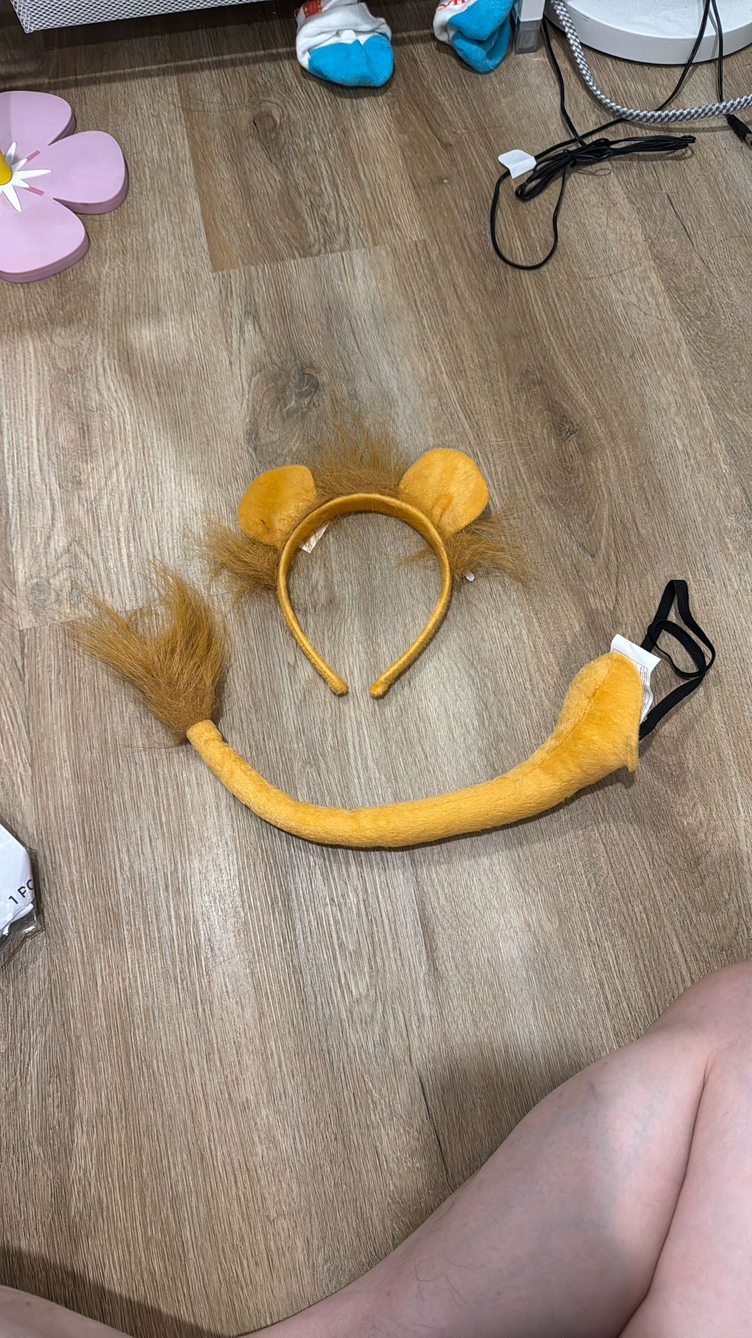 Lion Ears And A Tail