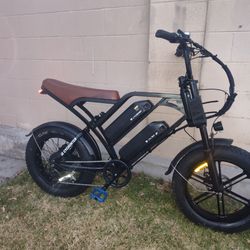 E BIKE DUAL-BATTERY