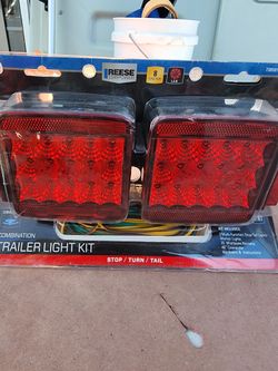 Reese LED Light