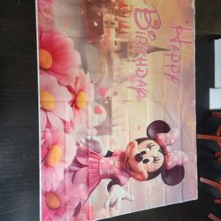 Minnie Mouse Party Decorations