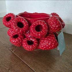Brand New Martha Stewart Raspberry Pot