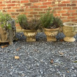 7 Concrete Garden Pots