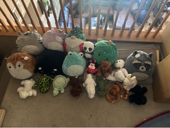 Tons of plushies SquishMallow and webkinz