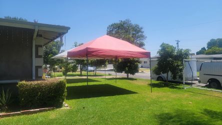 Canopy 13x13