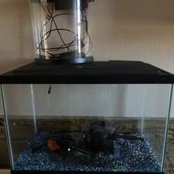 Fish Tank With Decor 