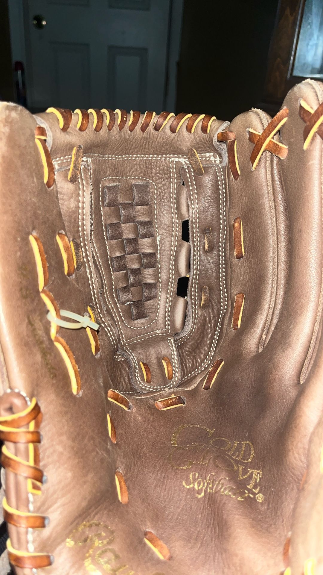 Softball Glove