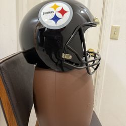 Nfl Fan Basket, Pittsburgh Steelers Last One
