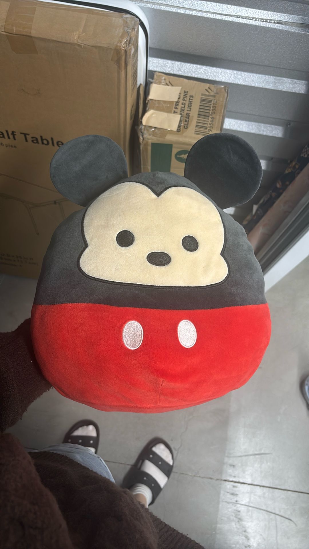 Mickey Plush