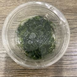 Trading Java Moss for Water Sprite 