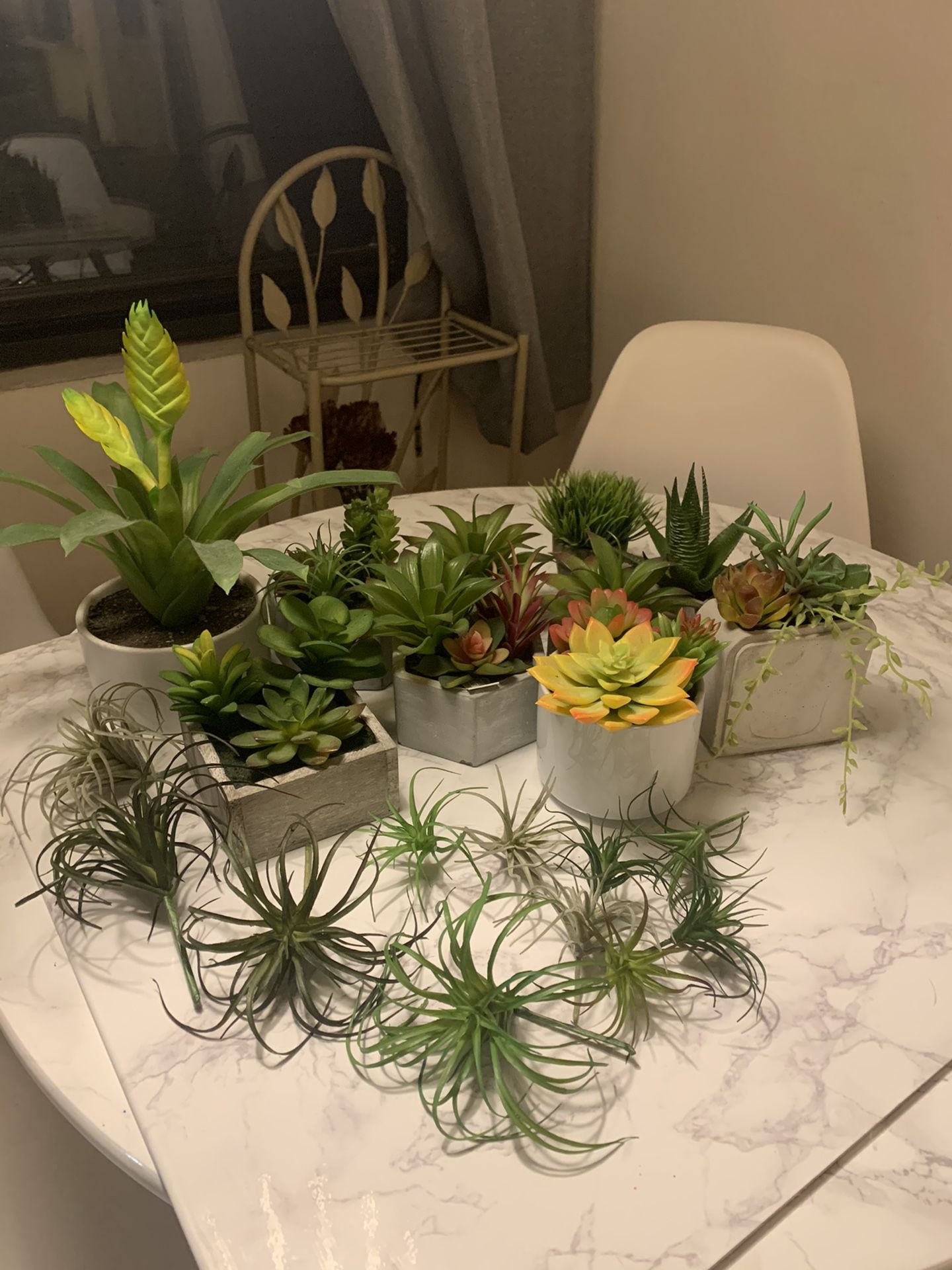 Fake plants (air plants, succulents and a bromeliad)