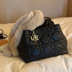 Dior Toujours single-shoulder crossbody bag