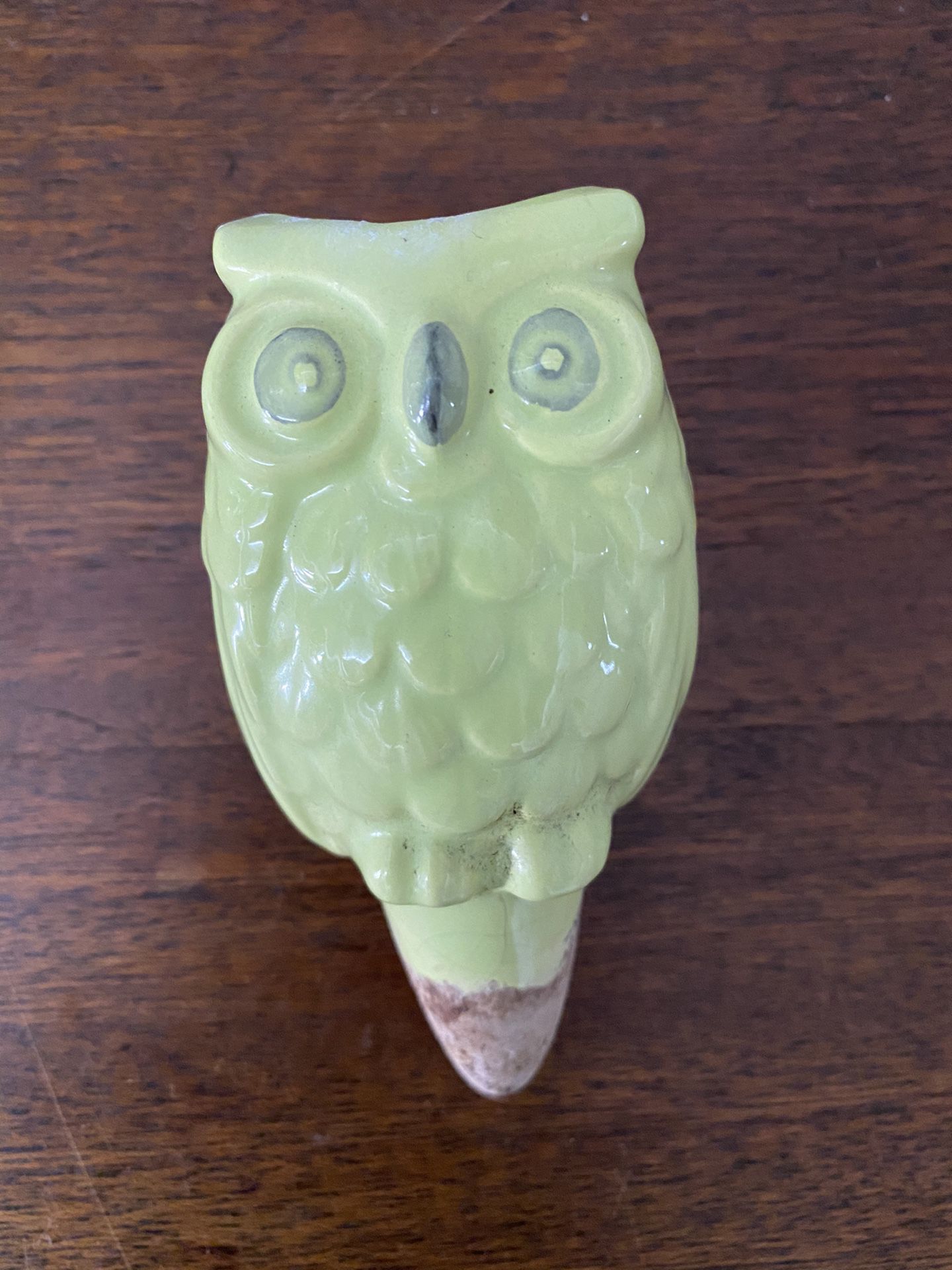 Owl Plant Decor Water Thing