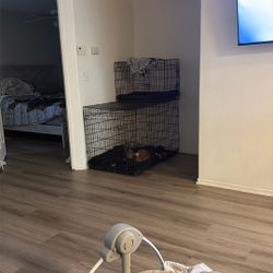 Dog Kennel 