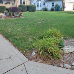 Mr.Lopez Lawn Mower Service 