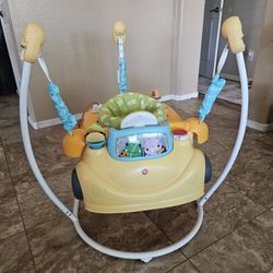 Baby To Toddler Fisher-Price Jumperoo Activity Center