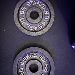10 Pound Metal Plates 