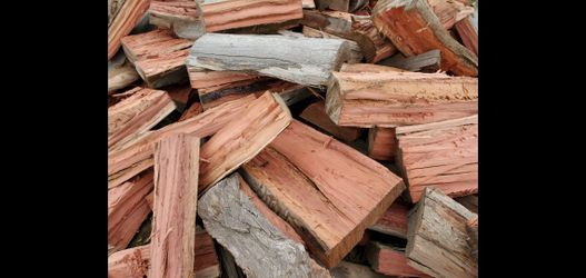 Eucalyptus Firewood 🔥