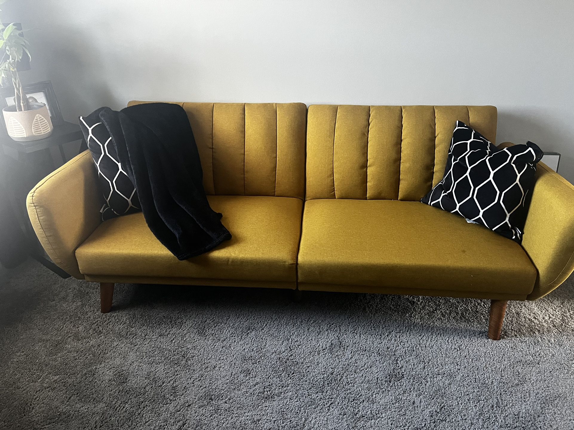 Small Couch / Futon 