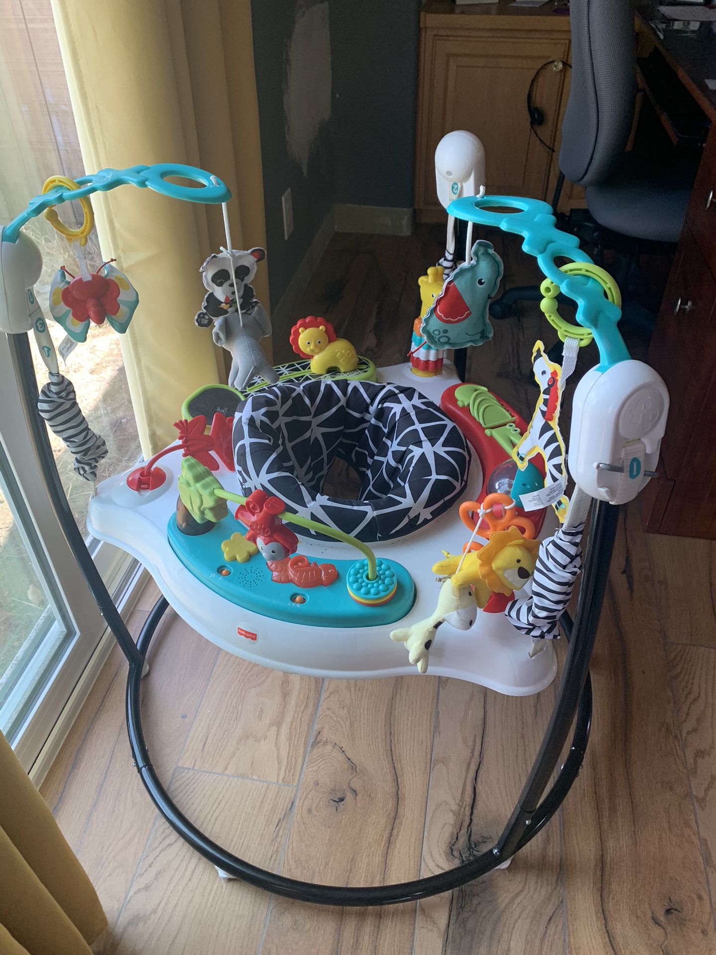 Baby Bouncer