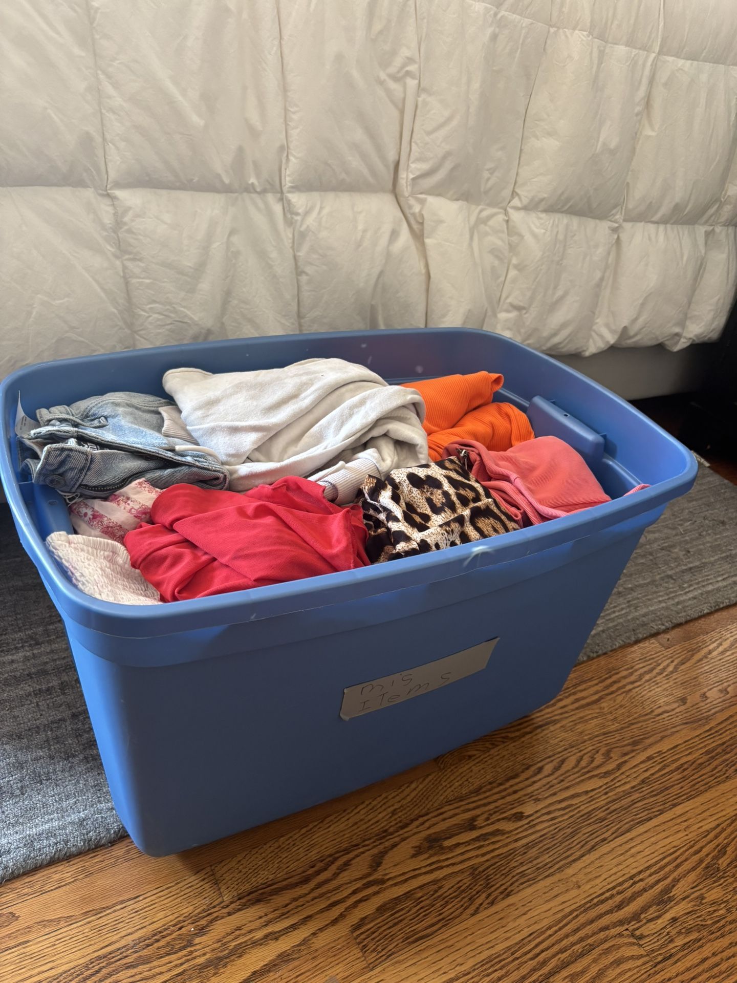 Huge Trendy Women’s Clothing Lot