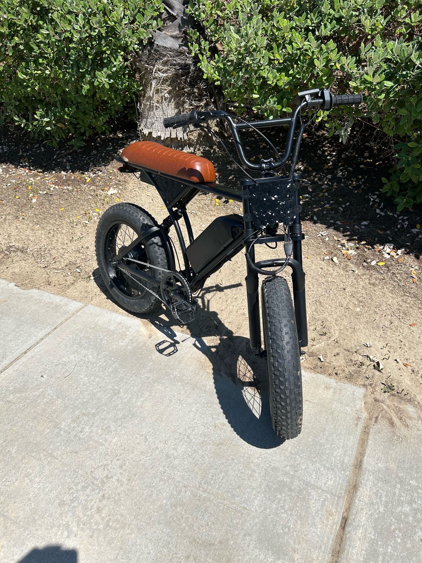 Cycrown Cycrun Ebike