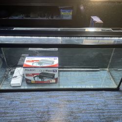 55 Gallon Fish Tank 