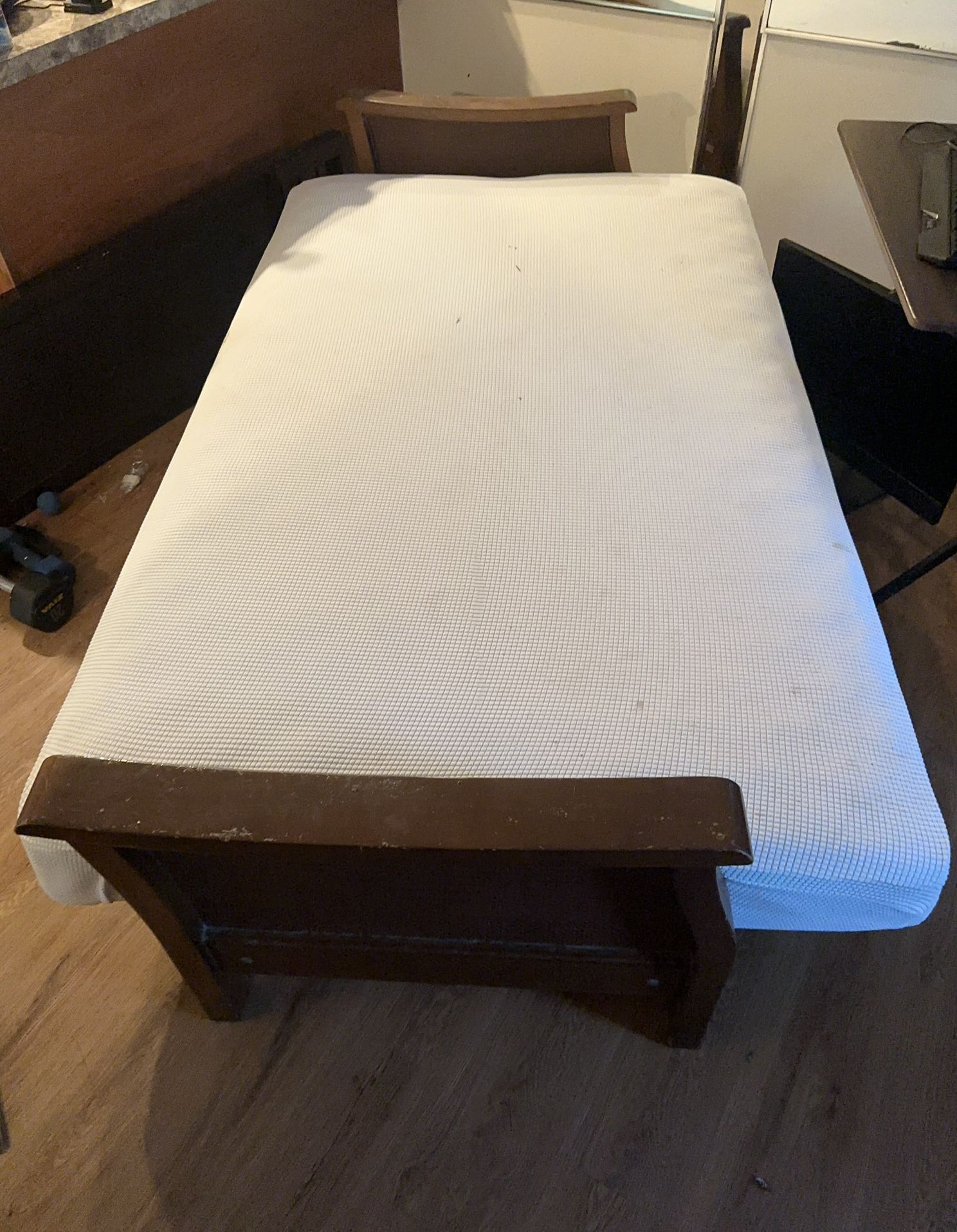 Sleeper Sofa ,Bed Couch
