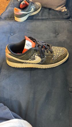 Dunk Rainbow Trout SB