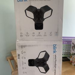 Two Brand new Blink Cameras (motion Sense) 