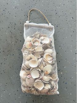 Shells