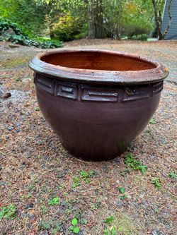 Large plant pot
