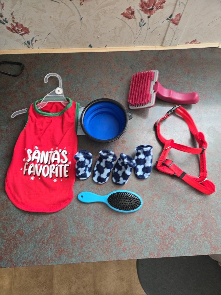 Dog Accessories 
