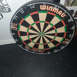 $30 Dart Board With Darts