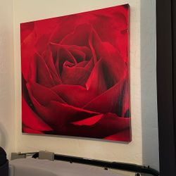 Rose Wall Canvas