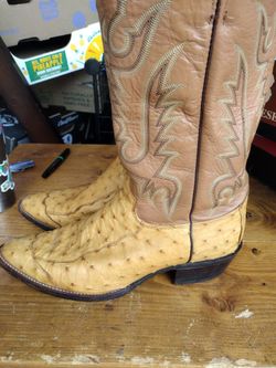 Boots 101/2 D