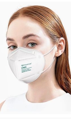 POWECOM KN-95 Masks (250 Count)