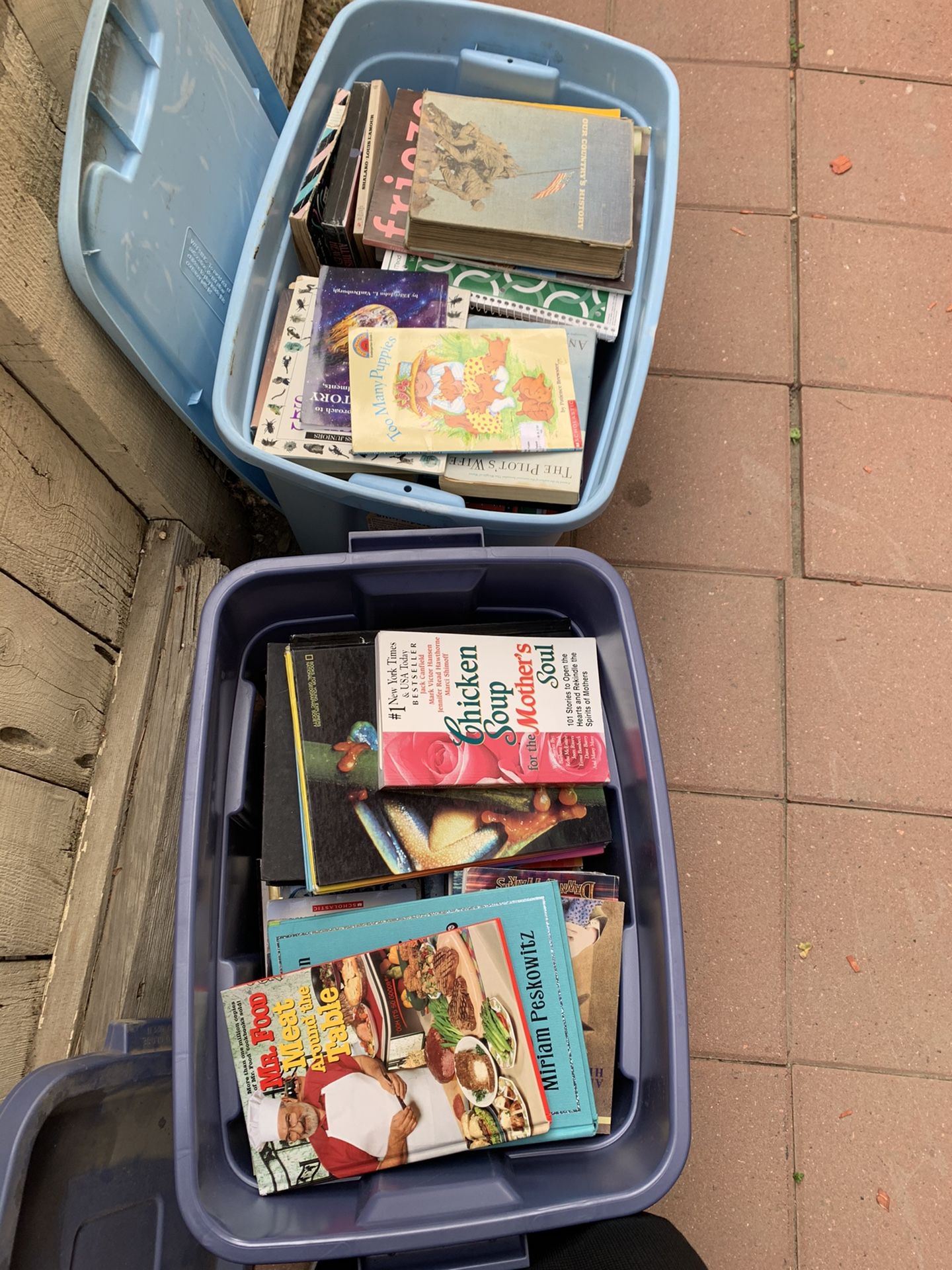 2 Bins Full Of Books