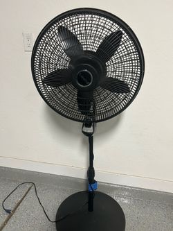 Pedestal Fan