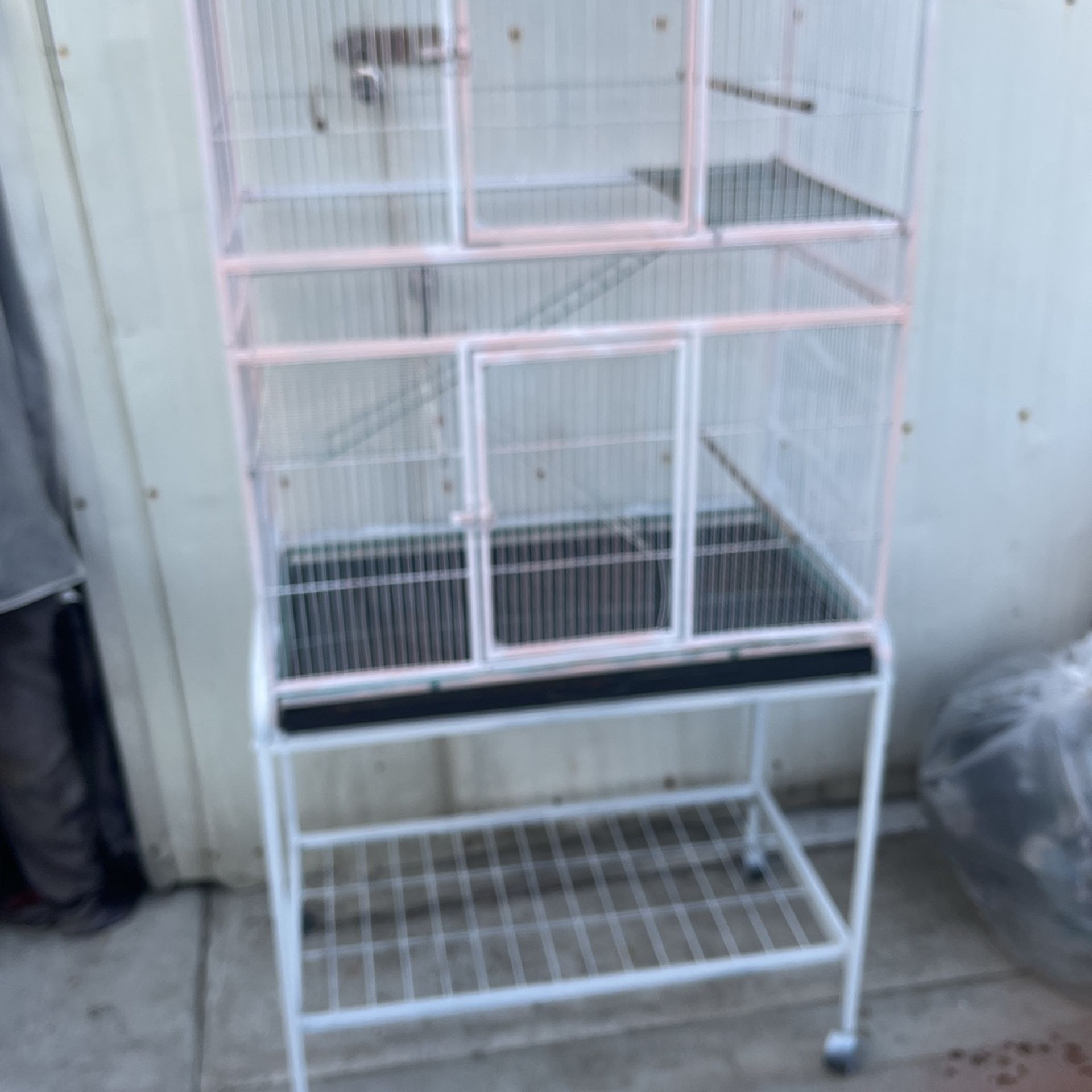 Bird Cage