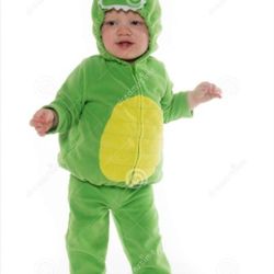 Toddler  Dragon Costume, Only Used Once For Brief Period Just For Photos