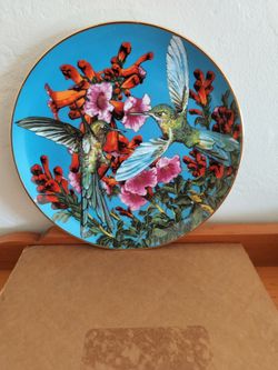 Hummingbird collection