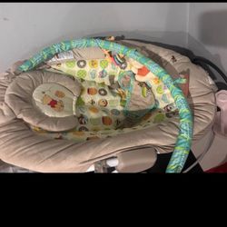Winnie The Pooh Bouncer