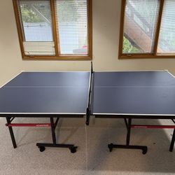 Ping Pong Table- Excellent Deal 