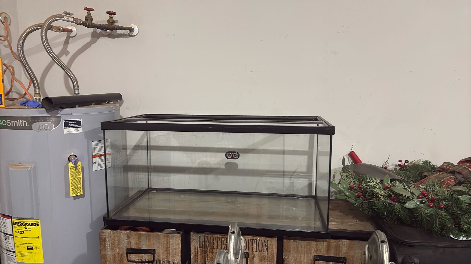 Bearded Dragon Cage